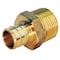 Apollo 3/4 in. Brass PEX Barb x 3/4 in. Male Pipe Thread Adapter (5-Pack), 5PK APXMA34345PK - alternate 3